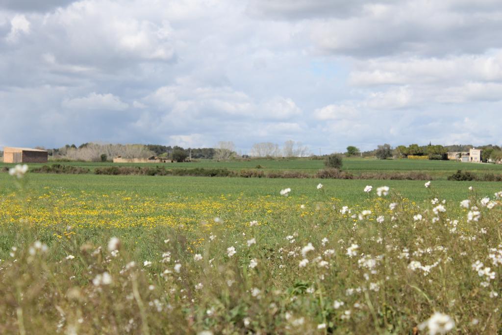 Ferienwohnung L'Essencia De L'Emporda -Girona- Verges Exterior foto